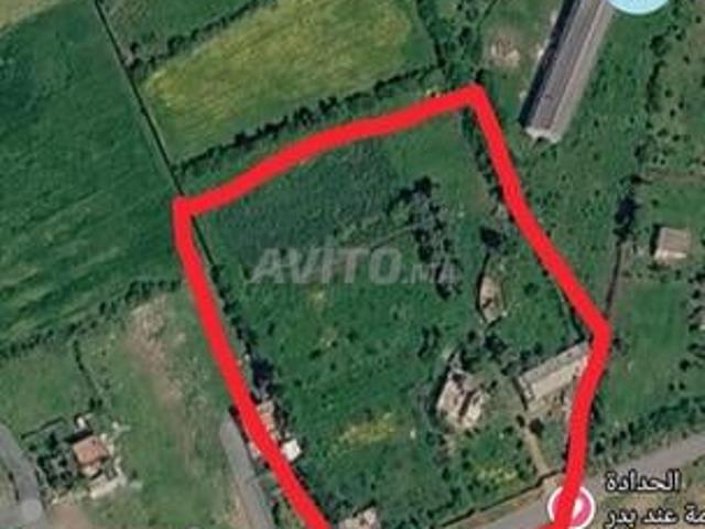 Propriété vente à Skhirat