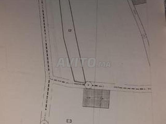 Propriété vente à Bouskoura بوسكورة, Province de Nouaceur إقليم النواصر