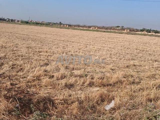 Propriété vente à Mediouna, Gharb-Chrarda-Beni Hssen