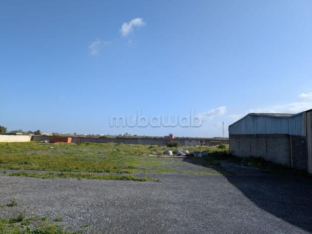 Terrain vente à Aïn Attig