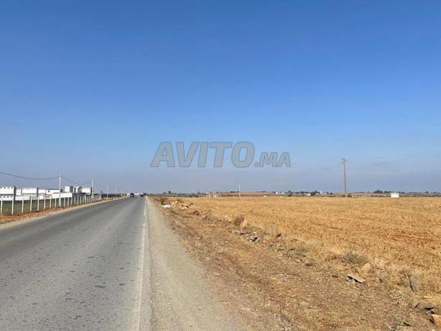 Propriété vente à Tamesna