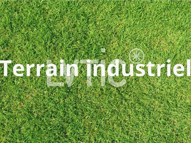 Industrie kaufen in Payerne, Waadt