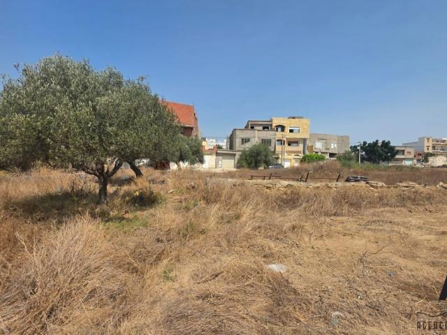 Terrain vente à Nabeul, Beni Khalled