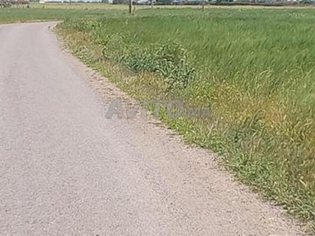 Propriété vente à Berrechid, Gharb-Chrarda-Beni Hssen