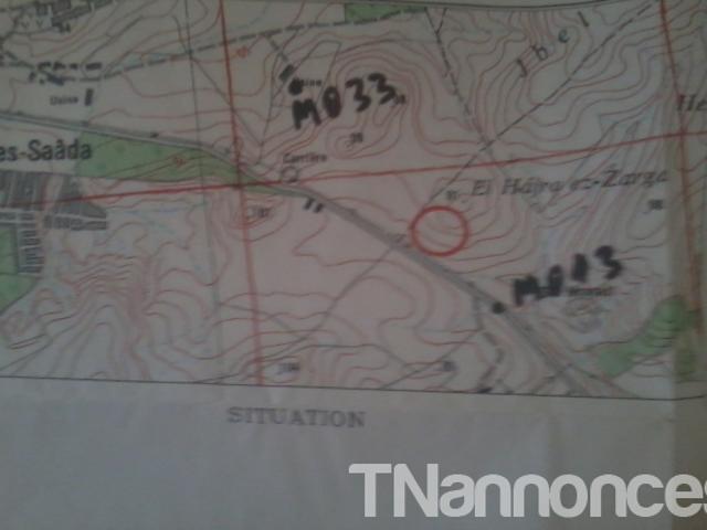 Terrain location