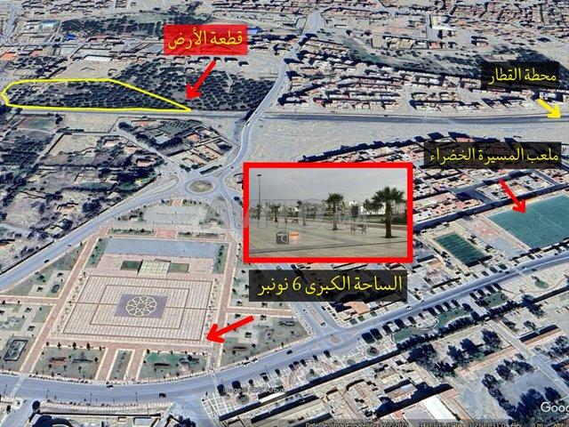 Propriété vente à Guercif