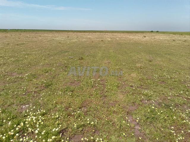 Propriété vente à Oualidia, Gharb-Chrarda-Beni Hssen