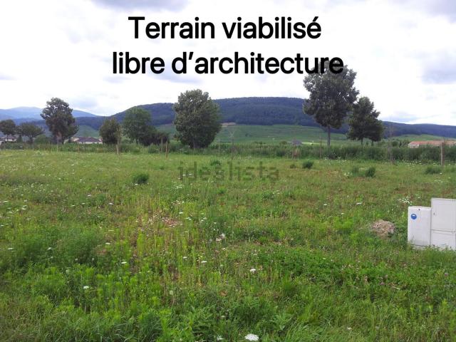 Terrain vente à Issenheim, Collectivité européenne d'Alsace