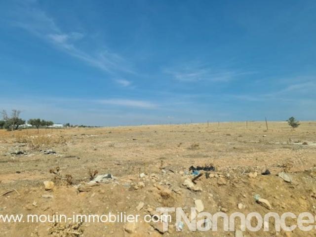Terrain location