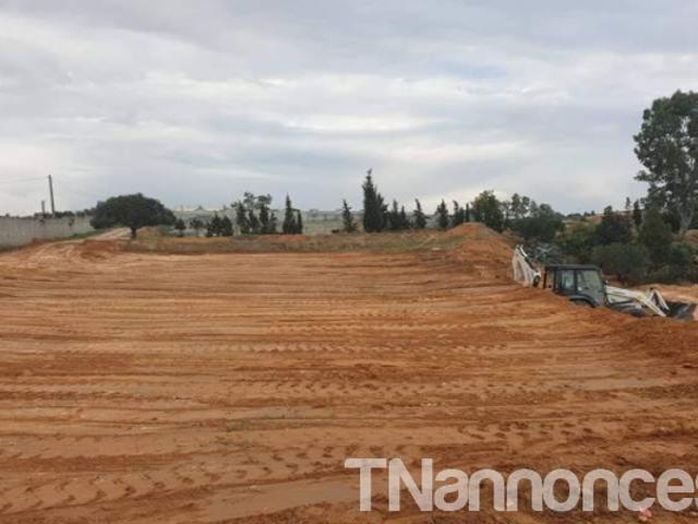 Terrain vente