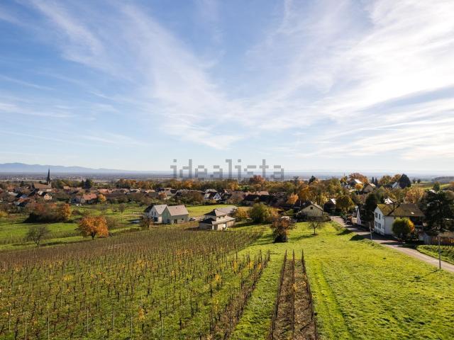 Terrain vente à Jungholtz, Collectivité européenne d'Alsace