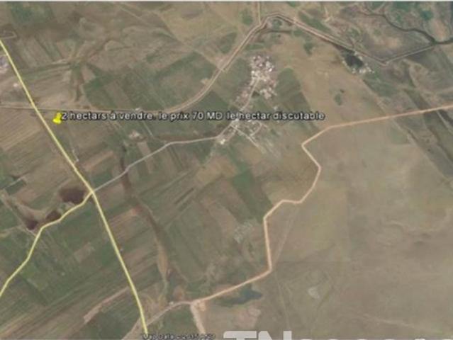 Terrain location