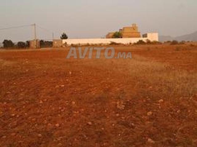 Propriété vente à Nador