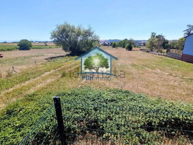 Terrain vente à Kindwiller, Collectivité européenne d'Alsace