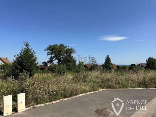 Terrain vente à Kintzheim, Collectivité européenne d'Alsace