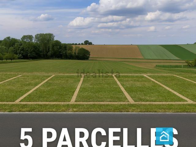 Terrain vente à Knœrsheim, Collectivité européenne d'Alsace