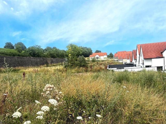 Terrain vente à Kuttolsheim, Collectivité européenne d'Alsace