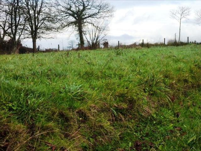Terrain vente à Villeneuve, La Bazouge-du-Désert