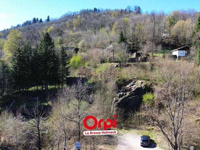 Terrain vente à Le Bas, La Bresse