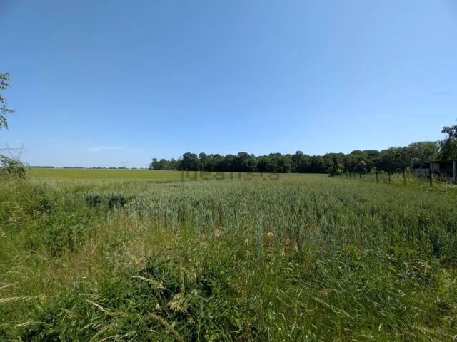 Terrain vente à La Ferté-sous-Jouarre, Seine-et-Marne