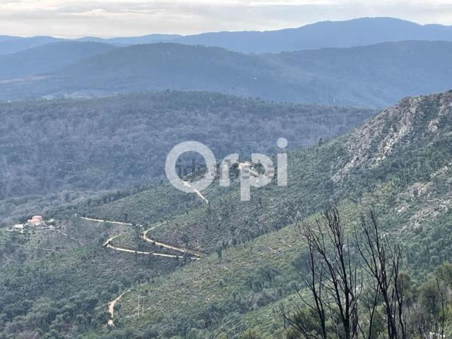 Terrain vente à La Garde-Freinet, Var