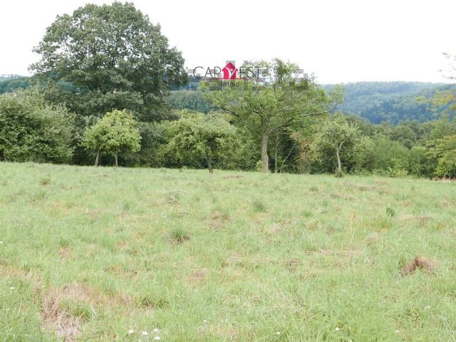 Terrain vente à La Petite-Pierre, Collectivité européenne d'Alsace