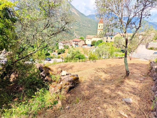 Terrain vente à La Tour, Alpes-Maritimes