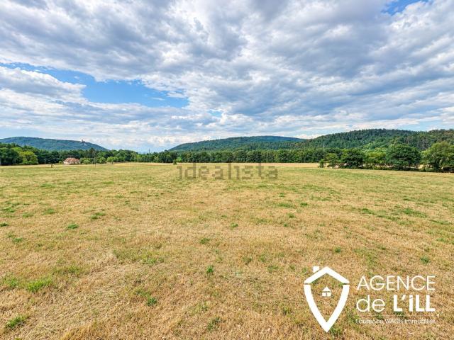 Terrain vente à La Vancelle, Collectivité européenne d'Alsace