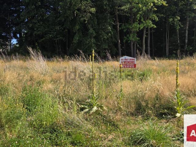 Terrain vente à Henzelle, Labaroche