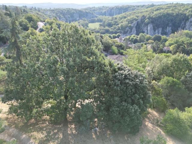 Terrain vente à La Téoule, Labeaume