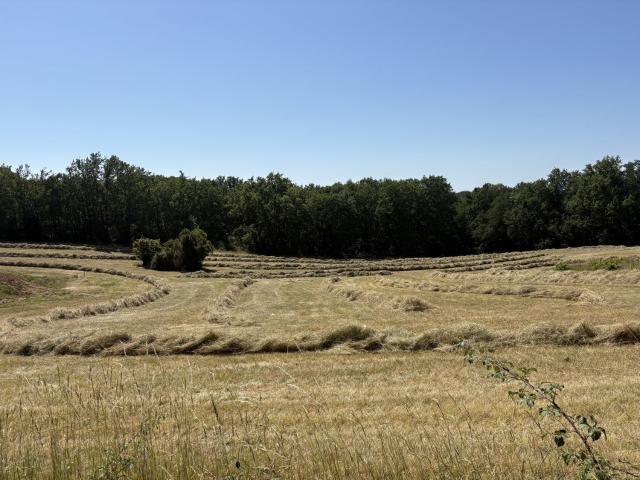 Terrain vente à Lafrançaise, Tarn-et-Garonne