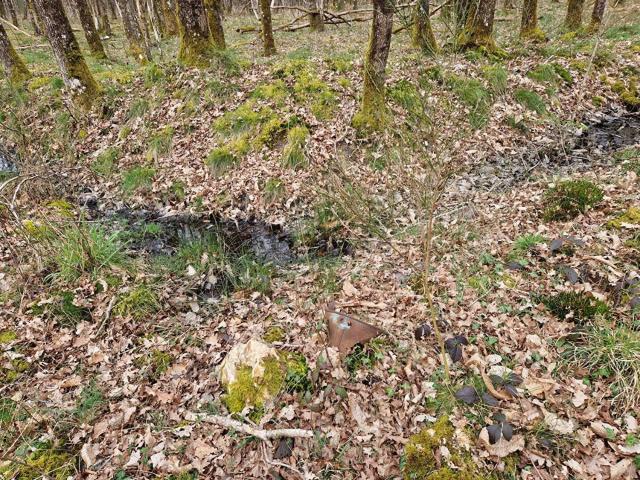 Terrain vente à Le Bois aux Frères, Langon-sur-Cher