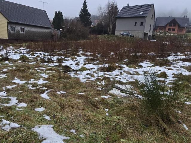 Terrain vente à Lapoutroie, Collectivité européenne d'Alsace