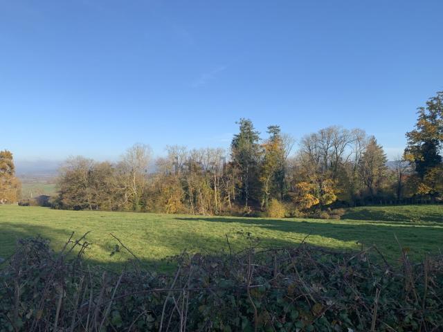 Terrain vente à Pigeard, Le Breuil