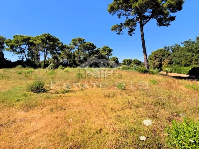 Terrain vente à Le Cannet, Alpes-Maritimes