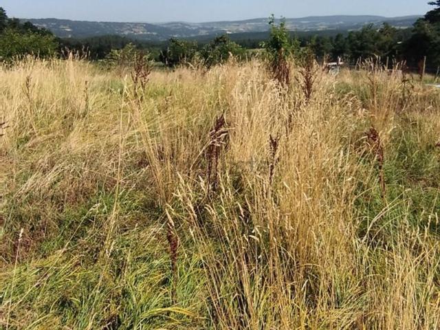 Terrain vente à Le Malzieu-Ville, Lozère