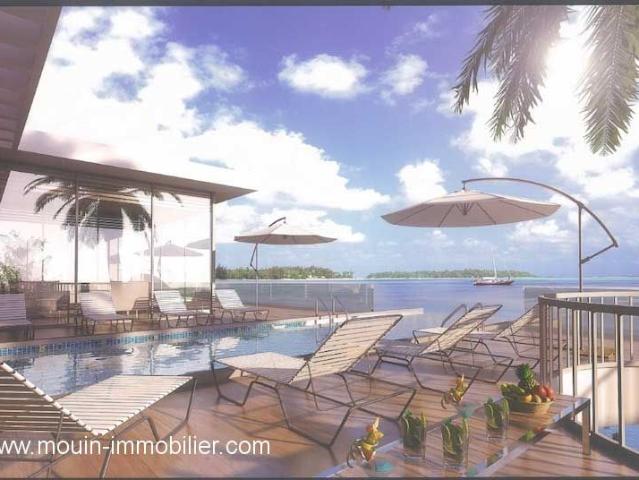 Terrain vente à Douz