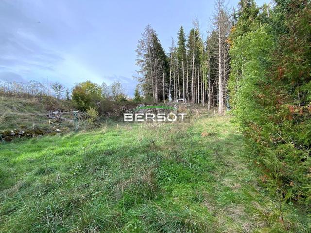 Terrain vente à Aux Étroits, Le Russey