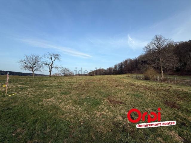 Terrain vente à Champs Hocot, Le Val-d'Ajol