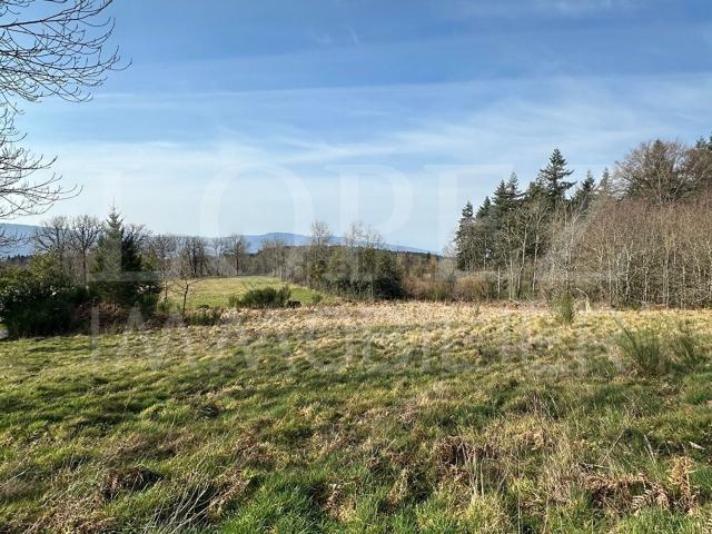 Terrain vente à Le Mariech, Le Vintrou