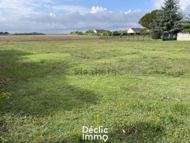 Terrain vente à Les Gaudtrées, Lémeré