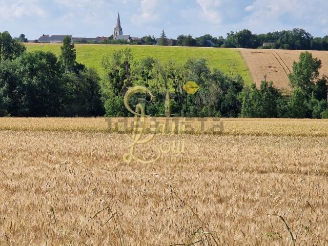 Terrain vente à Les Gaudtrées, Lémeré