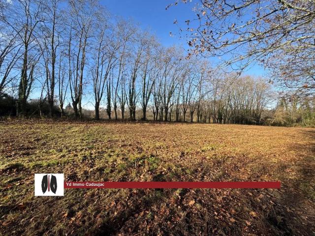 Terrain vente à Le Petit Rambouillet, Léognan