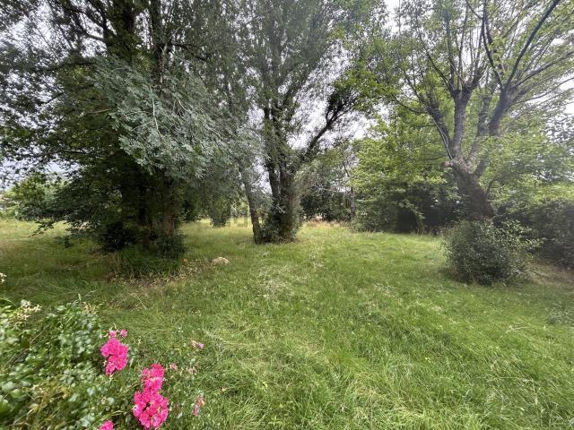 Terrain vente à Frigère, Léognan