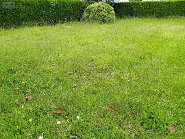 Terrain vente à Champigné, Les Hauts-d'Anjou