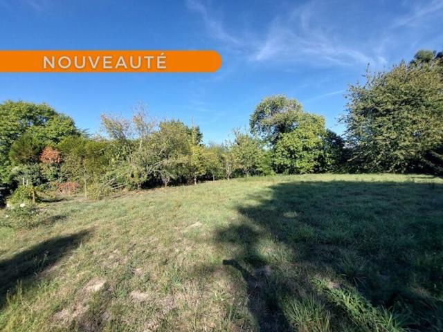 Terrain vente à La Forêt, Les Iffs