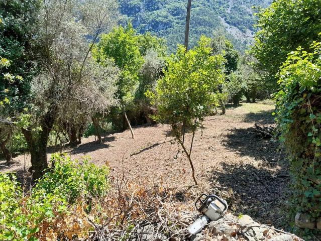 Terrain vente à Levens, Alpes-Maritimes