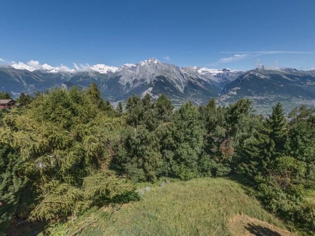 Immobilie kaufen in Baar, Nendaz, Wallis