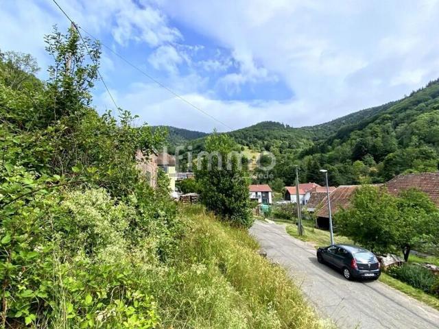 Terrain vente à Linthal, Collectivité européenne d'Alsace