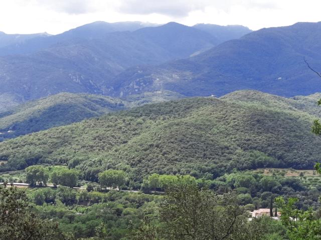 Terrain vente à Céret, Reynès